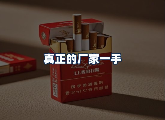 专业团队办公环境